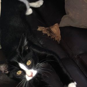 Meet your Posher, Marcia